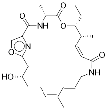 A 17002 C 71843-98-6